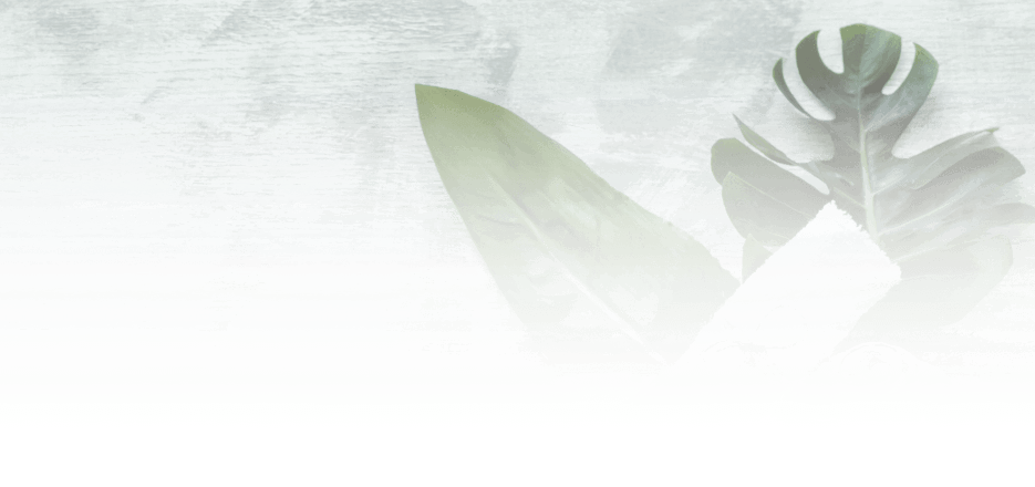LINK PRO